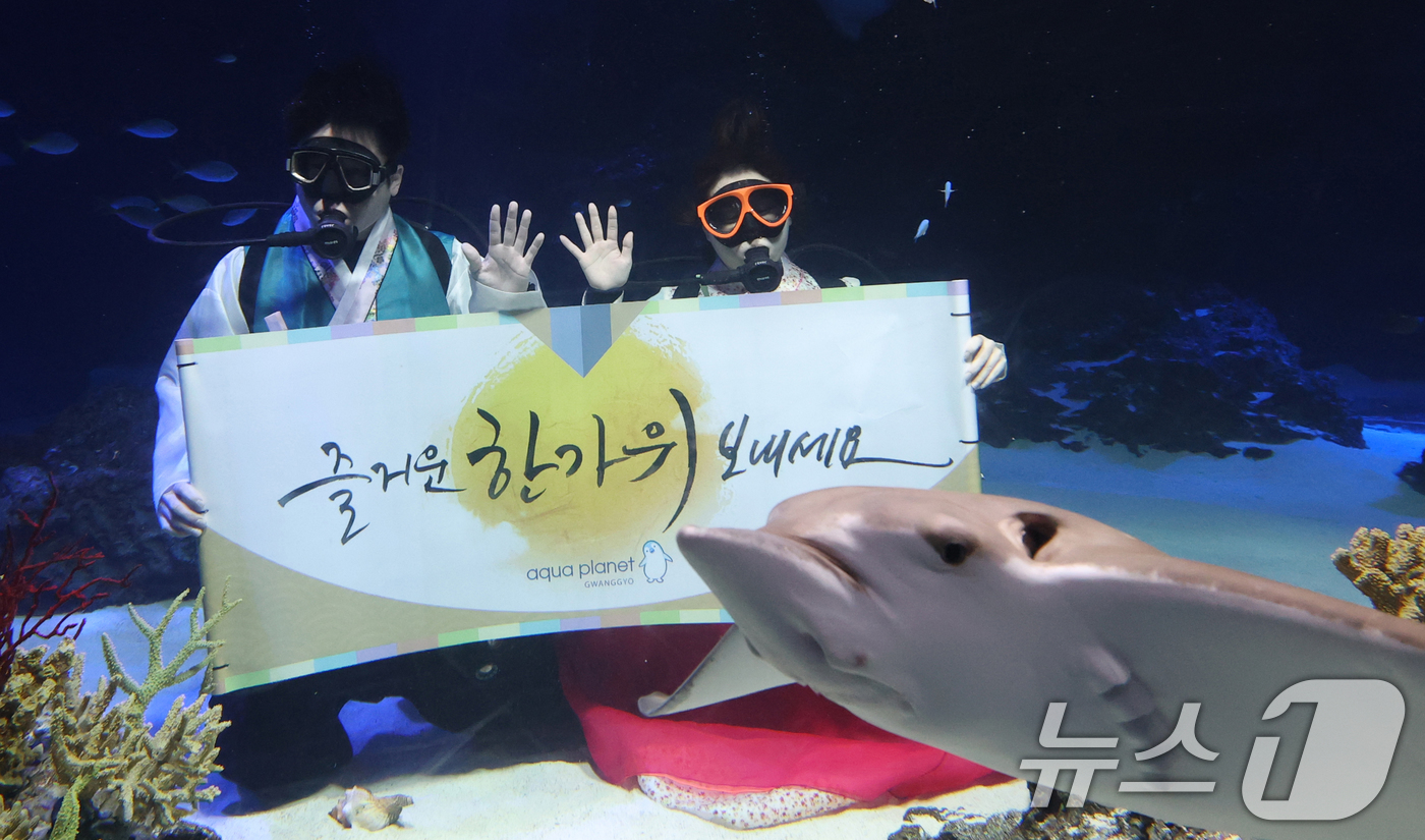 (수원=뉴스1) 김영운 기자 = 추석 연휴를 앞둔 29일 경기 수원시 영통구 아쿠아플라넷 광교에서 한복을 입은 아쿠아리스트들이 추석 명절 인사를 하고 있다. 2025.9.29/뉴스 …