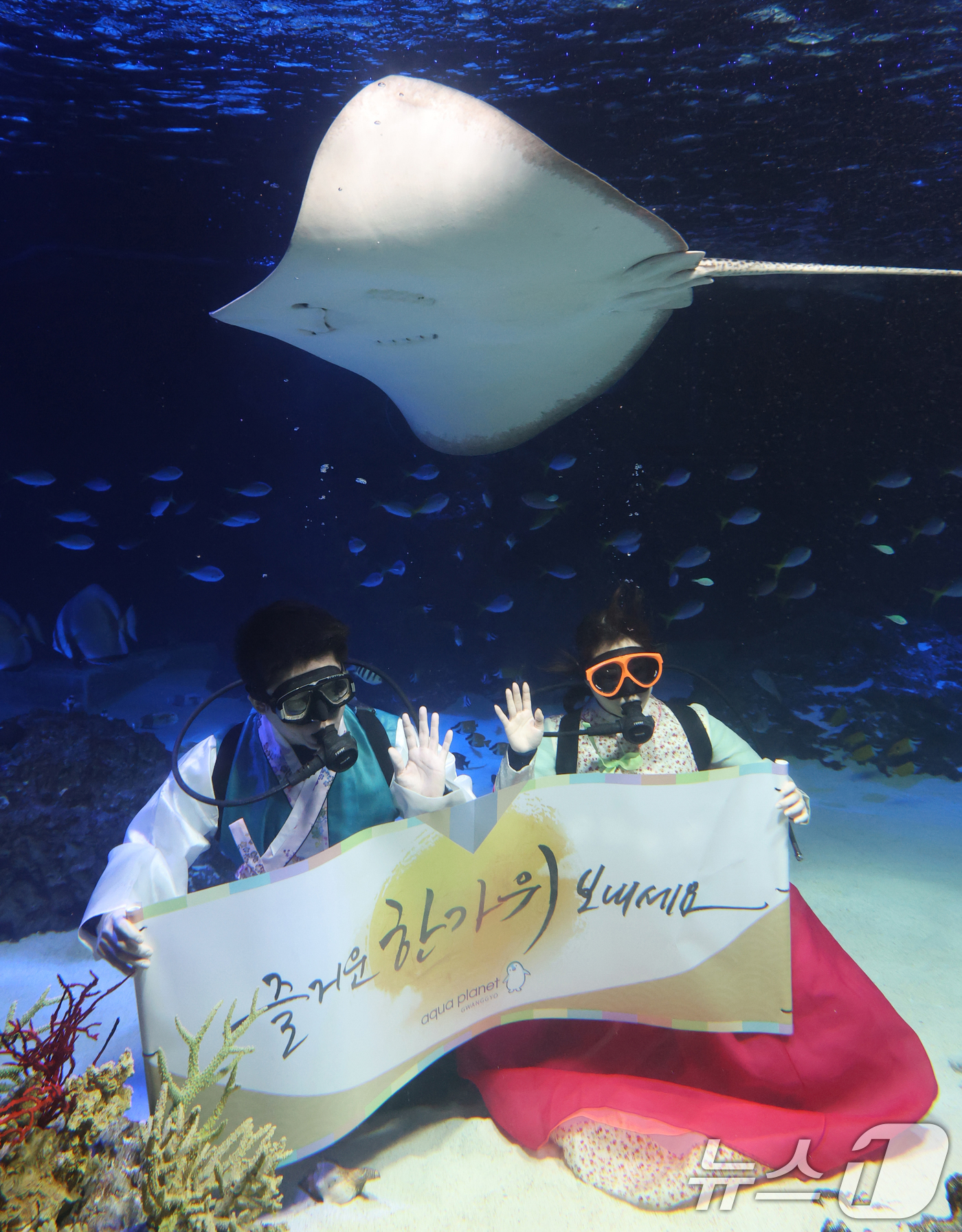 (수원=뉴스1) 김영운 기자 = 추석 연휴를 앞둔 29일 경기 수원시 영통구 아쿠아플라넷 광교에서 한복을 입은 아쿠아리스트들이 추석 명절 인사를 하고 있다. 2025.9.29/뉴스 …