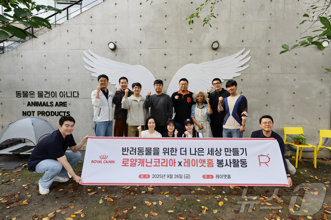 (서울=뉴스1) = 펫푸드 기업 로얄캐닌코리아가 지난 26일 경기도 파주시에 위치한 유기묘 보호소 ‘레이앳홈’에서 봉사활동을 진행했다. 봉사에 참여한 로얄캐닌 임직원들이 기념촬영을 …