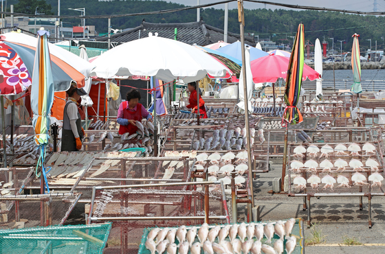 "원주민 후손 아니잖아" 어촌계 가입 거절…인권위 "차별"
