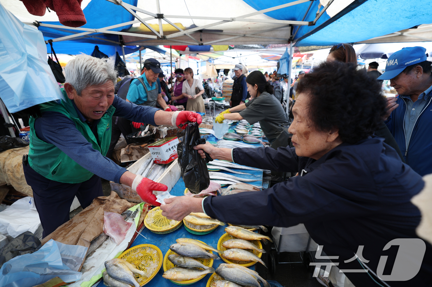 (성남=뉴스1) 김영운 기자 = 추석 연휴를 앞둔 29일 경기 성남시 중원구 모란민속5일장에서 시민들이 제수용품을 구매하고 있다. 2025.9.29/뉴스1