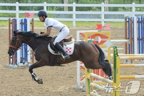 본문 이미지 - 2014년 국산마승마대회 장애물 경기에 데뷔한 경주 퇴역마 차밍걸 &#40;한국마사회 제공&#41;
