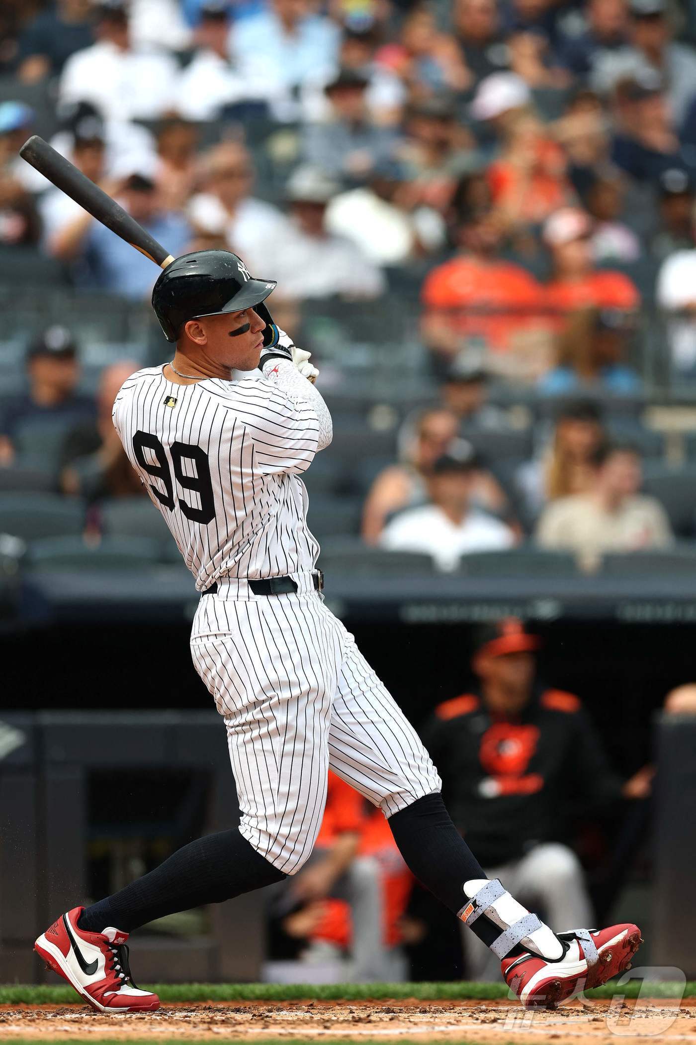 본문 이미지 - 뉴욕 양키스 애런 저지. ⓒ AFP=뉴스1