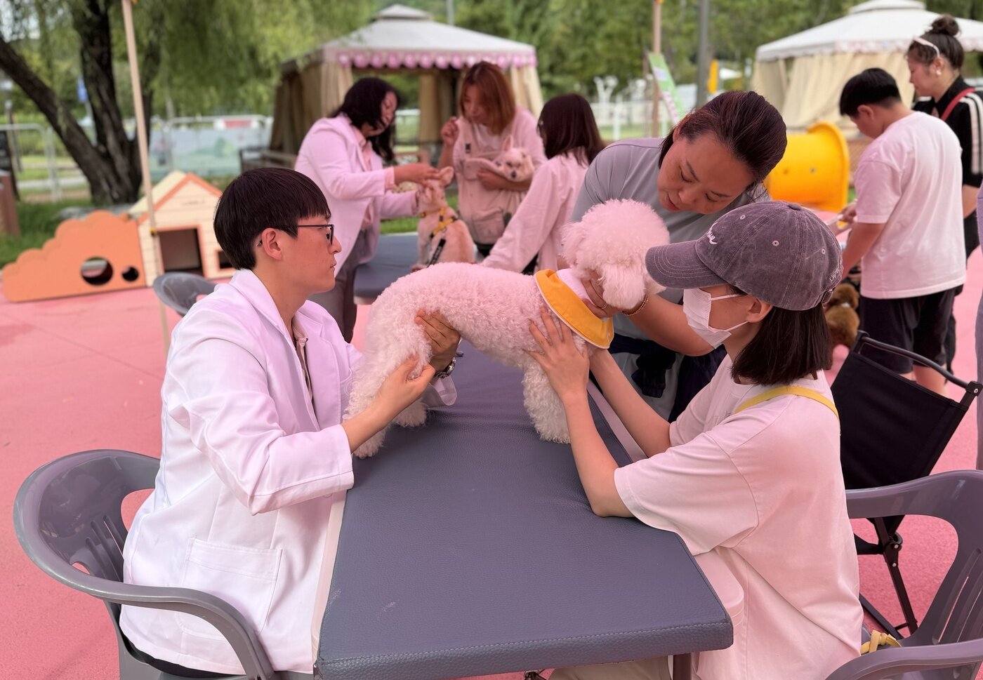 본문 이미지 - 김성구 서울시수의사회 마포분회 총무&#40;맨 왼쪽&#41;가 지난 28일 열린 &#39;댕댕이 한복패션쇼&#39; 행사에서 건강 상담을 하고 있다&#40;서울시수의사회 제공&#41;. ⓒ 뉴스1