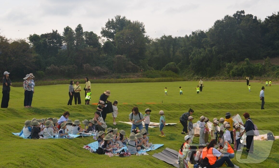 본문 이미지 - 강원 원주시 문막읍 반계리의 은행나무광장의 준공식이 29일 오후 2시 반계리 은행나무 일원에서 열린 가운데, 어린이들이 이날 반계리 은행나무광장 주변에서 야외 활동을 갖고 있다. 2025.9.29/뉴스1 ⓒ News1 신관호 기자