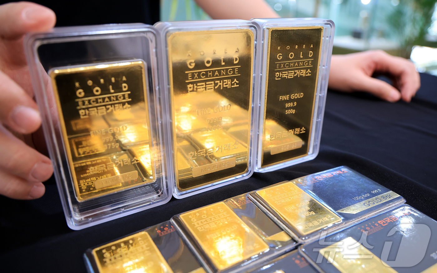 (서울=뉴스1) 김진환 기자 = 금과 은 가격이 급등세를 보이는 3일 서울 종로구 한국금거래소에서 관계자가 골드바를 내보이고 있다.2일(현지시간) 뉴욕상품거래소에서 금 선물 가격은 …