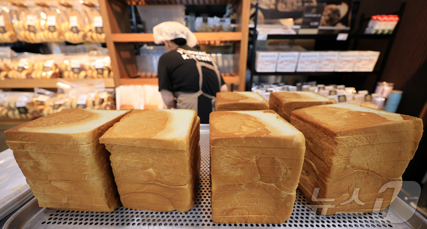 (서울=뉴스1) 김진환 기자 = 빵값이 6개월 연속 고공행진을 이어가고 있다.3일 통계청 국가통계포털(KOSIS)에 따르면, 8월 빵 물가지수는 138.61(2020년=100)로, …