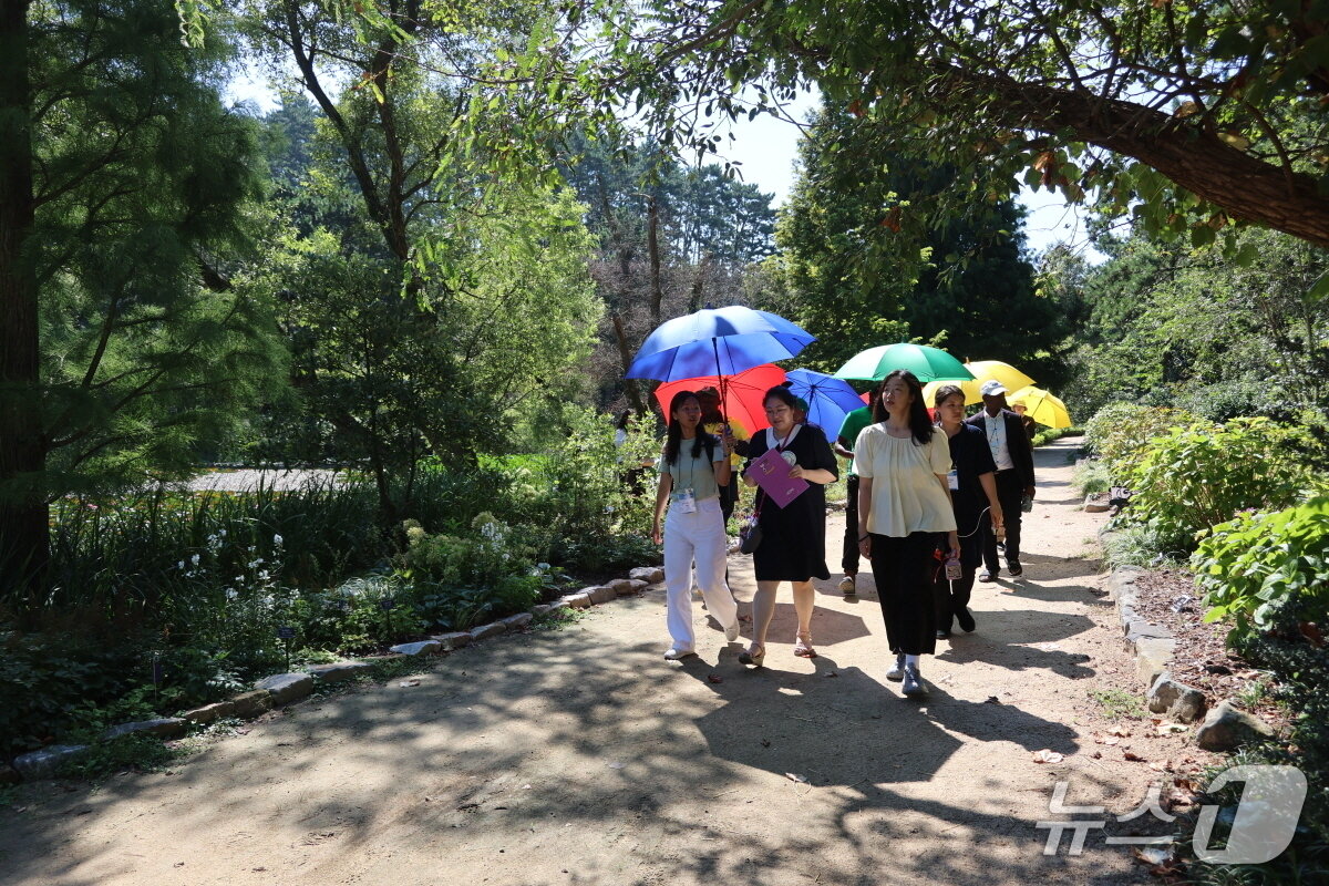 본문 이미지 - 3일 천리포수목원을 찾은 콩고민주공화국 공무원 및 시민단체 관계자들이 수목원을 둘러보고 있다.(천리포수목원 제공. 재판매 및 DB금지)2025.9.3/뉴스1