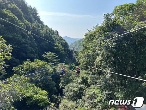 본문 이미지 - 홍천 가리산 레포츠파크 짚라인.&#40;자료사진&#41;/뉴스1 DB
