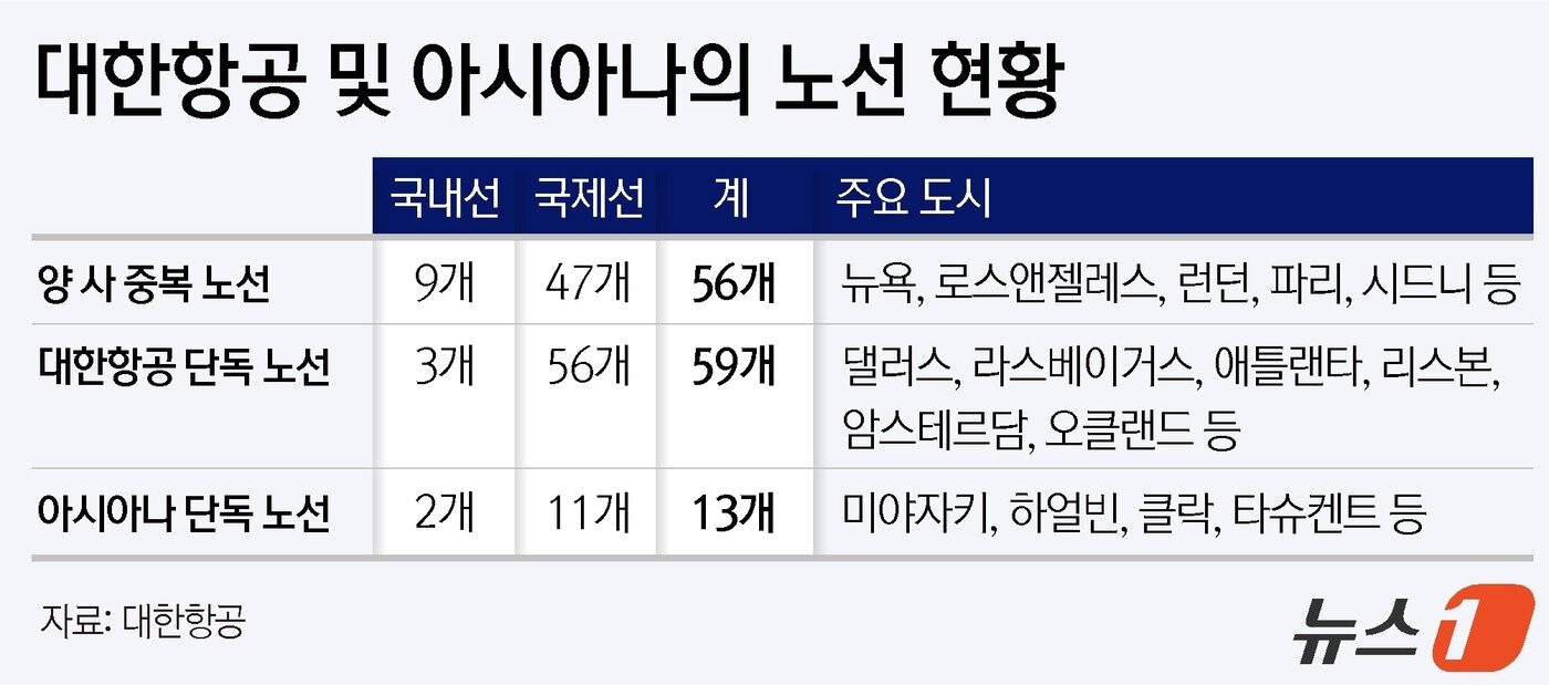 본문 이미지 - ⓒ News1 윤주희 디자이너
