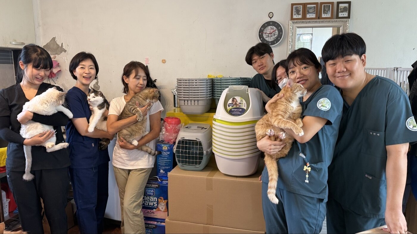 본문 이미지 - VIP동물의료센터와 한국보호동물의학연구원은 최근 고양이 보호 단체 &#39;목동 길동이하우스&#39;와 &#39;용산 캣츠비&#39;에 450만 원 상당의 반려묘 용품을 전달했다&#40;벳아너스 제공&#41;. ⓒ 뉴스1