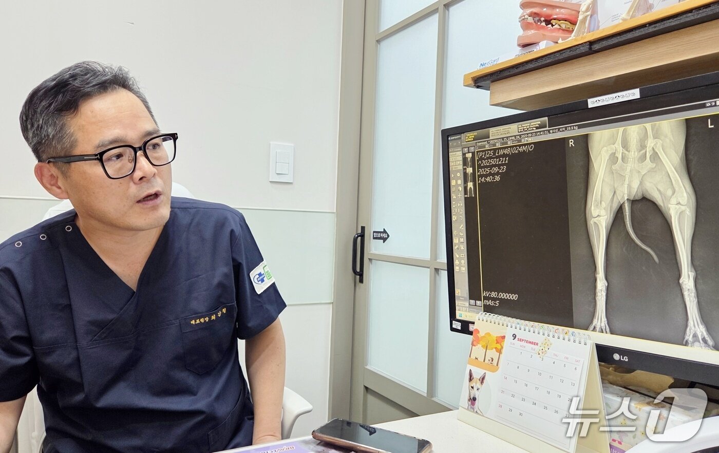 본문 이미지 - 최갑철 로얄동물메디컬센터W 대표원장이 반려동물 진료 결과를 설명하고 있다. ⓒ 뉴스1 최서윤 기자