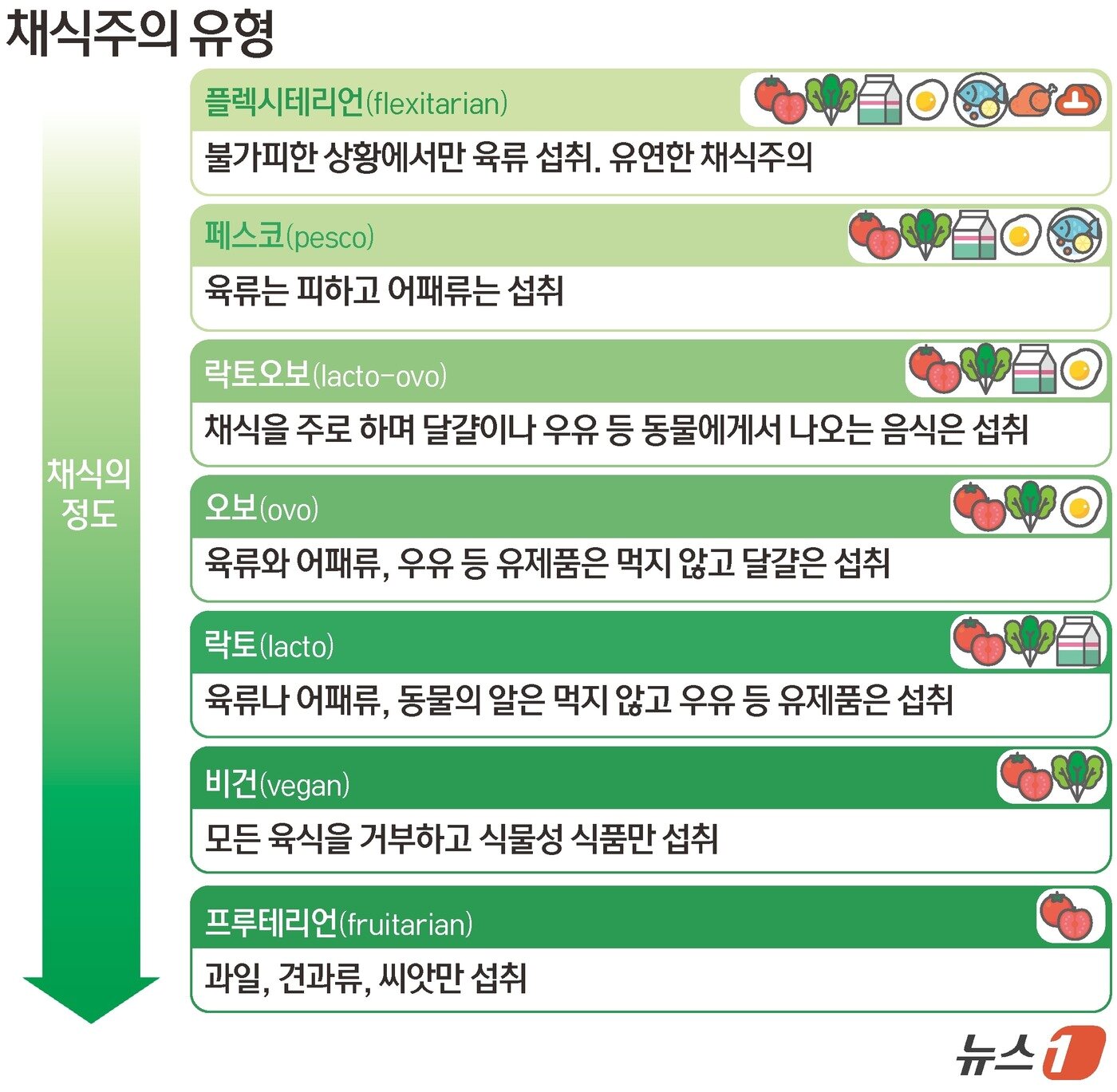본문 이미지 - ⓒ News1 윤주희 디자이너