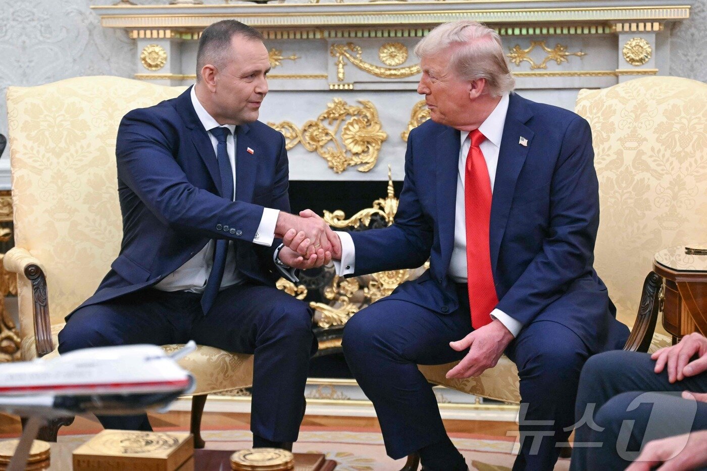 본문 이미지 - 도널드 트럼프 미국 대통령이 3일&#40;현지시간&#41; 워싱턴DC 백악관 집무실에서 카롤 나브로츠키 폴란드 대통령&#40;왼쪽&#41;과 악수하고 있다. ⓒ AFP=뉴스1 ⓒ News1 류정민 특파원