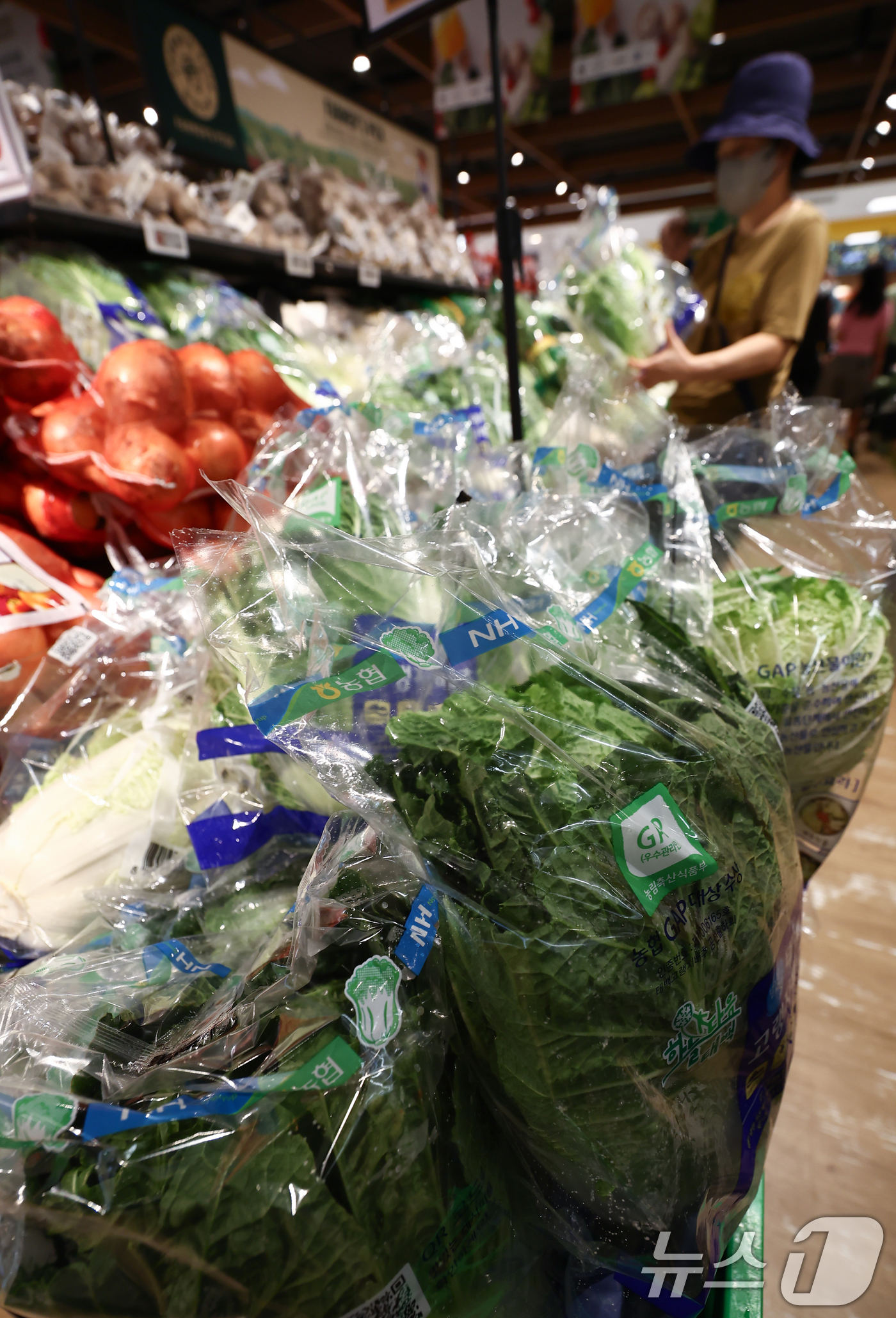 (서울=뉴스1) 김민지 기자 = 폭염·폭우 등 이상기온과 재배 면적 감소로 배추 가격이 올랐다.4일 한국농수산식품유통공사(KAMIS)에 따르면 배추 1포기 평균 소매 가격은 666 …