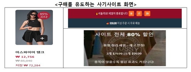 "알로·스투시 최대 80% 할인?"…SNS 해외쇼핑몰 사칭 주의보