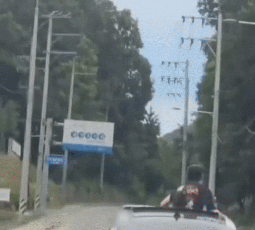 본문 이미지 - (보배드림 갈무리)