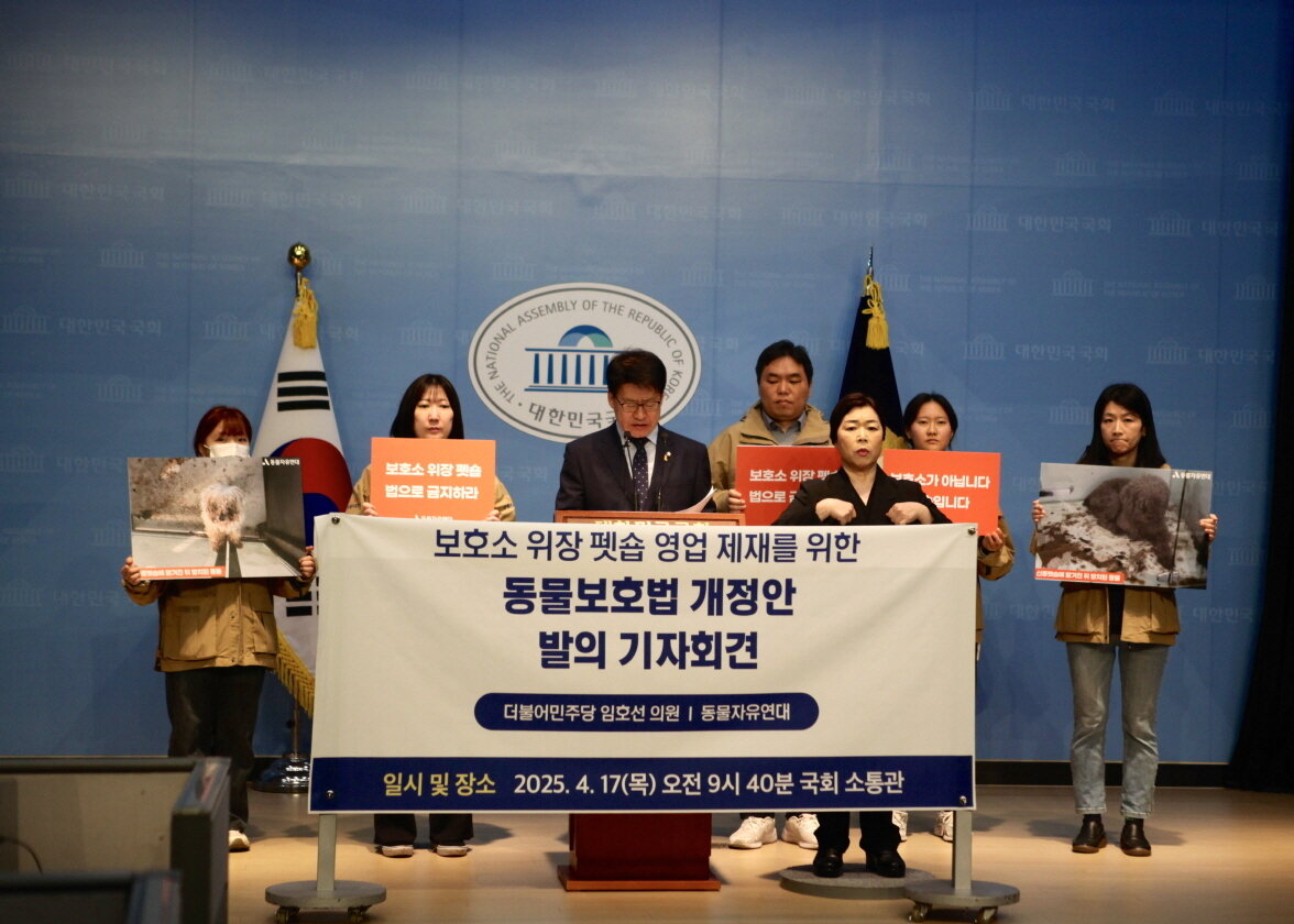 본문 이미지 - '신종펫숍'이라 불리는 보호소 위장 펫숍을 제재하기 위한 동물보호법 개정안이 4월 17일 국회에서 발의됐다(동물자유연대 제공). ⓒ 뉴스1