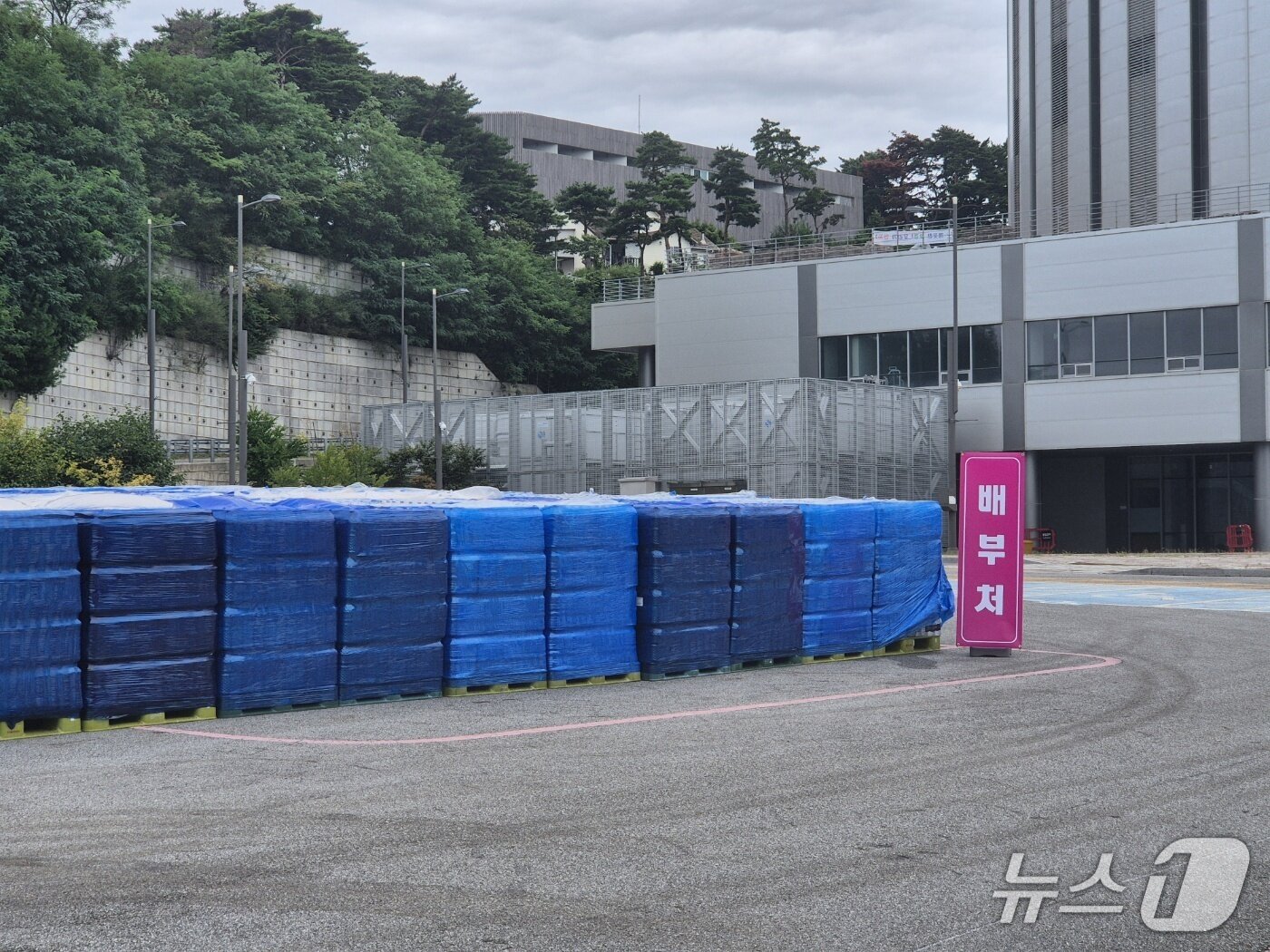 본문 이미지 - 극심한 가뭄으로 재난사태가 선포된 강원 강릉에 5일 전 시민을 대상으로 1인당 12L 분량의 생수가 배부된다. 이날 오전 강원 강릉시 포남동 강릉스피드스케이트장에 마련된 &#39;드라이브 스루&#39; 급수 현장. 2025.9.5/뉴스1 윤왕근 기자