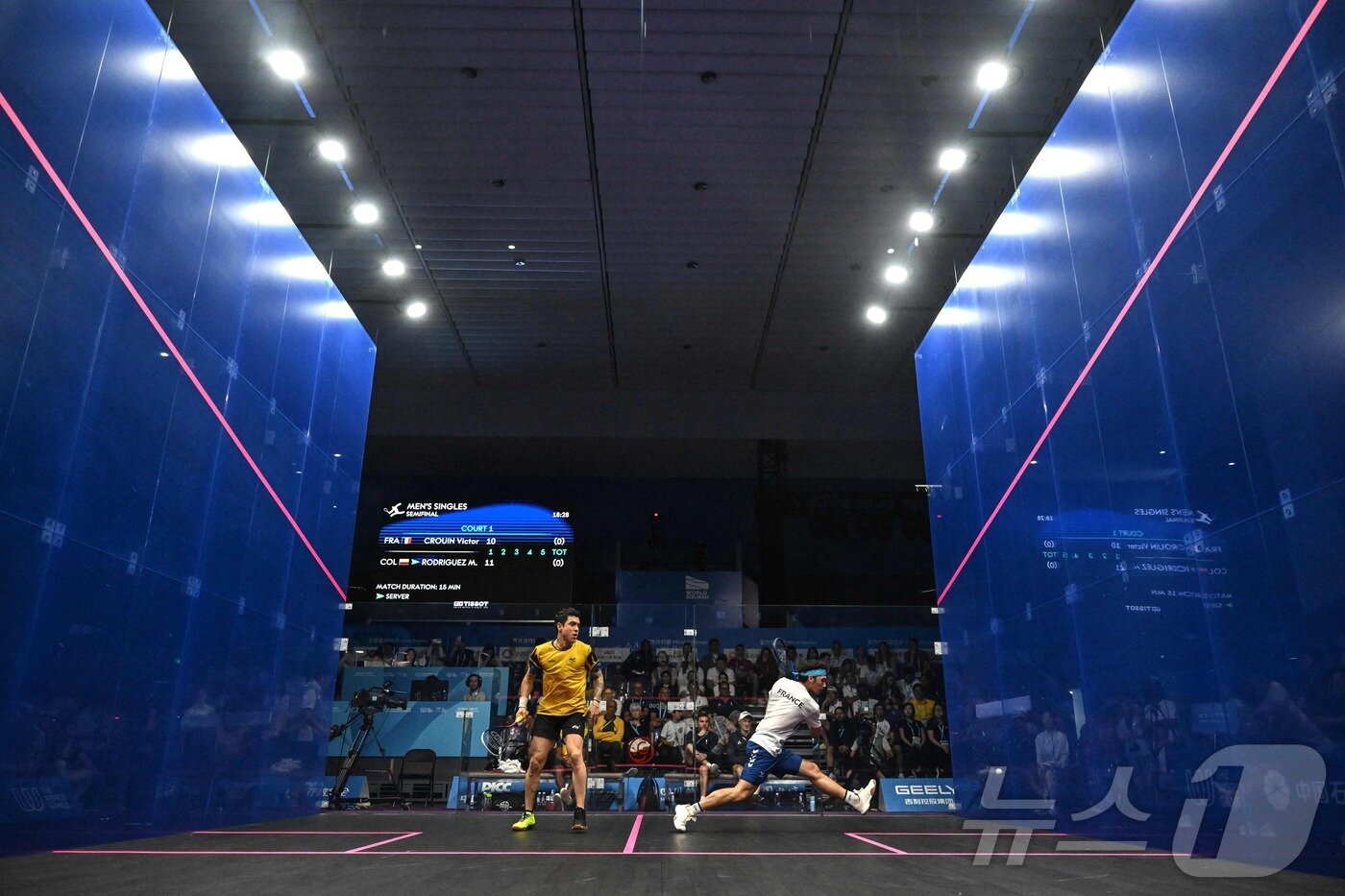 본문 이미지 - 스쿼시는 분당 열량 소모량이 15㎈로 다른 종목과 비교해 운동 효과가 크다. ⓒ AFP=뉴스1