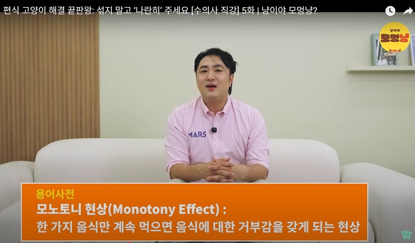 본문 이미지 - 고양이의 편식에는 또 다른 생체 반응인 '모노토니 현상(Monotony Phenomenon)'이 작용한다(유튜브 반려의 완성 갈무리). ⓒ 뉴스1