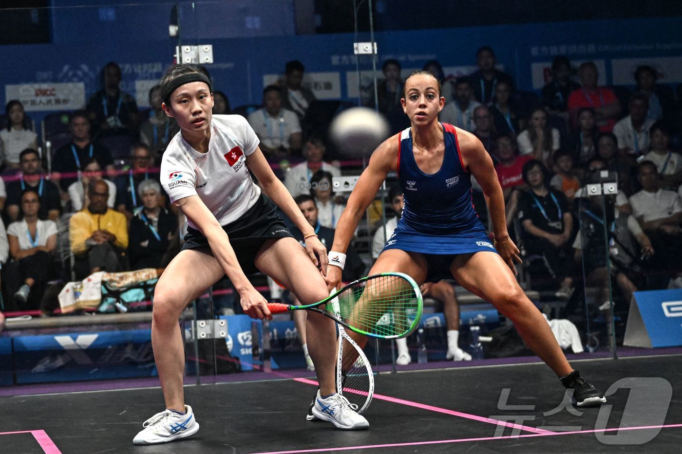 본문 이미지 - 스쿼시는 매너 있게 경기하는 게 중요하다. ⓒ AFP=뉴스1