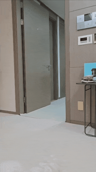 본문 이미지 - '반복재생 아님'…무한 공놀이에 심취한 소망이(보호자 제공) ⓒ 뉴스1