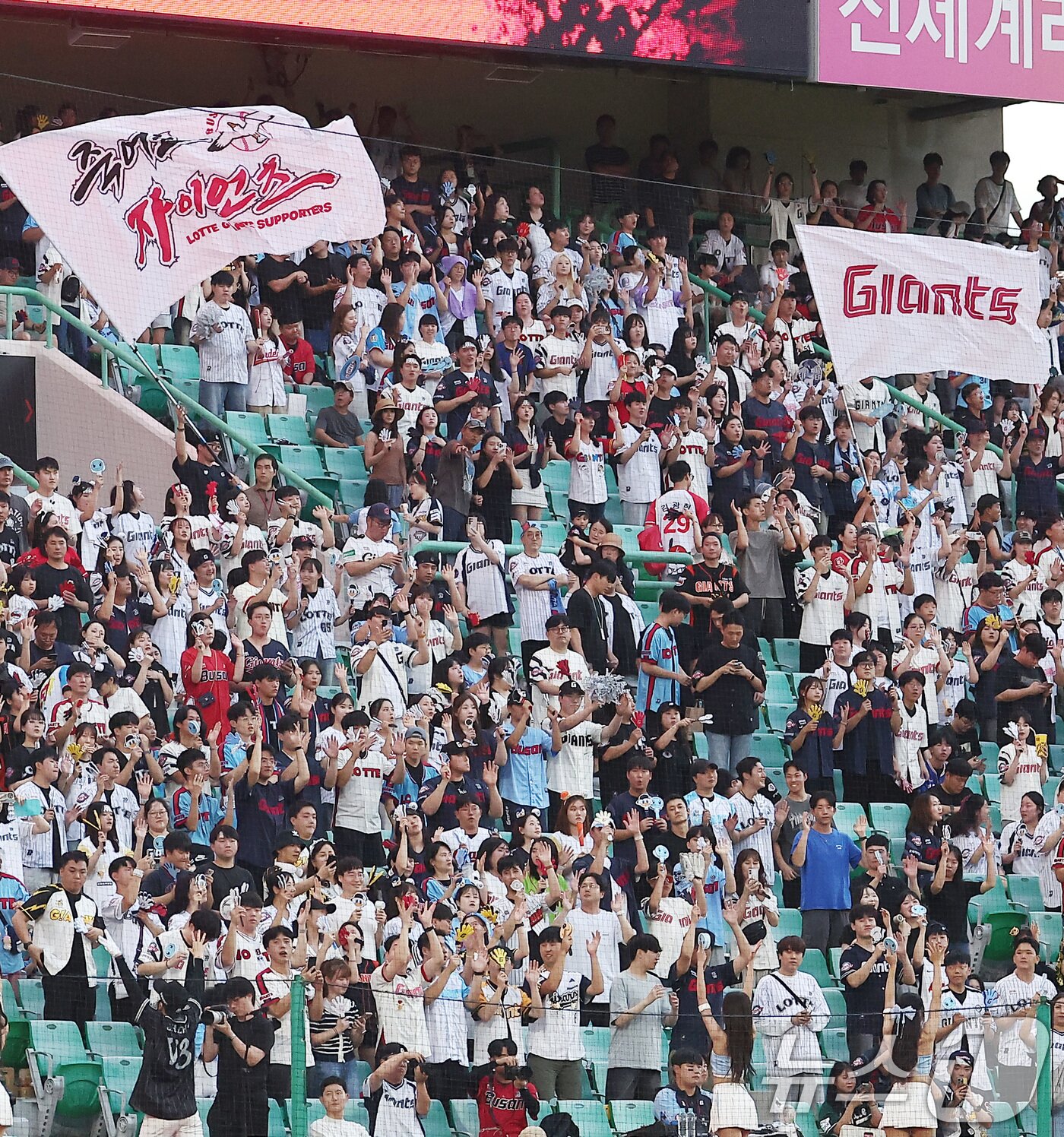 본문 이미지 - 5일 인천 SSG랜더스필드에서 열린 '2025 신한 SOL 뱅크 KBO리그' 롯데 자이언츠와 SSG 랜더스의 경기에서 관중들이 힘찬 응원을 하고 있다. 정규리그 720경기 중 632경기를 마친 2025 KBO리그는 지난 4일 기준 누적 관중 1084만9054명을 기록했다. 2025.9.5/뉴스1 ⓒ News1 김성진 기자