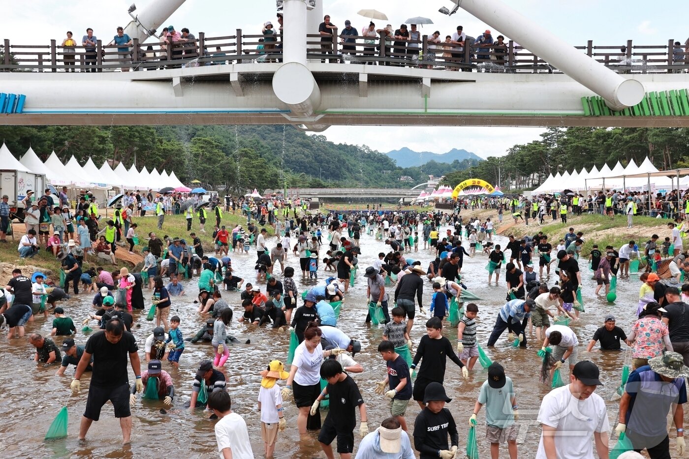 본문 이미지 - 6일 충북 괴산군 동진천에서 열린 2025 괴산고추축제 체험 프로그램 '고추물고기를 잡아라'에서 참가자들이 메기를 잡고 있다. 2025.9.6/뉴스1 ⓒ News1 이성기 기자