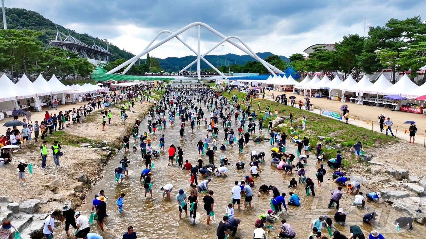 (괴산=뉴스1) 이성기 기자 = 6일 충북 괴산군 동진천에서 열린 2025 괴산고추축제 체험 프로그램 '고추물고기를 잡아라'에서 참가자들이 메기를 잡고 있다. 2025.9.6/뉴스 …