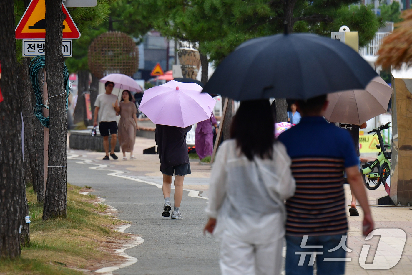 (포항=뉴스1) 최창호 기자 = 7일 경북 포항시 북구 영일대해수욕장에서 우산을 쓴 시민들과 관광객들이 해안도로를 따라 걸어가고 있다. 2025.9.7/뉴스1
