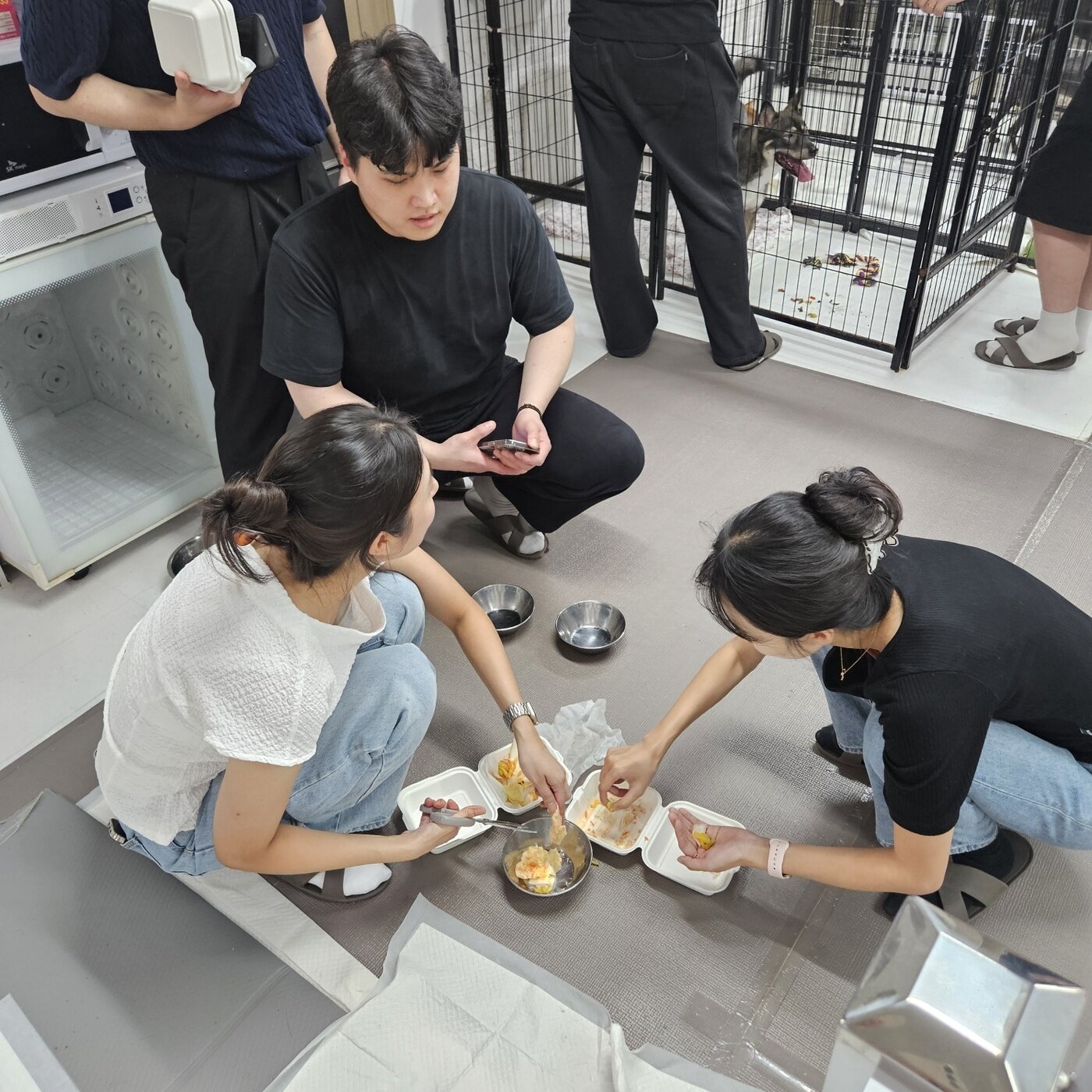본문 이미지 - 조선호텔앤리조트 임직원들이 보호동물을 위한 강아지용 배추김치를 만들고 있다(동행 제공). ⓒ 뉴스1