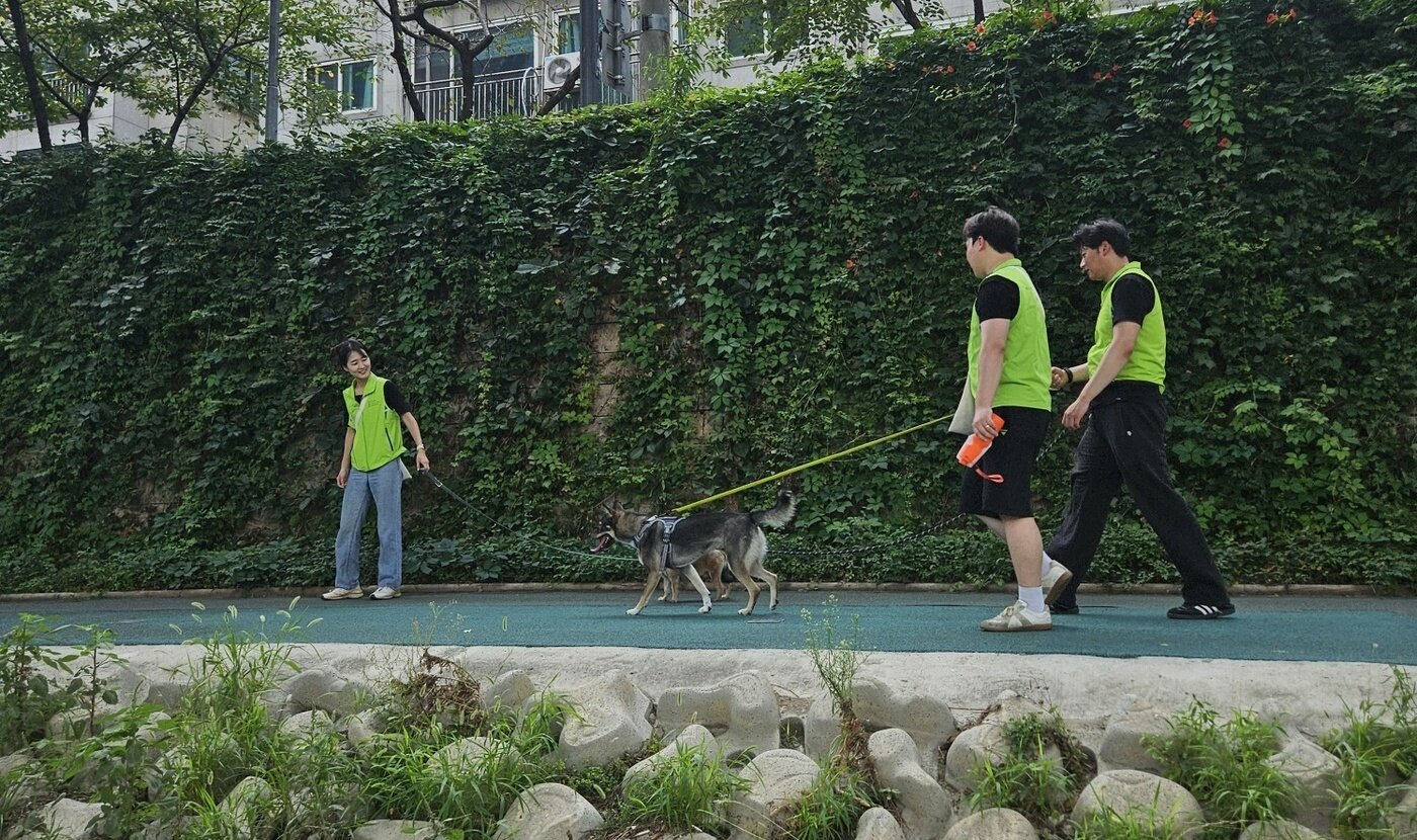 본문 이미지 - 조선호텔앤리조트 임직원들이 산책 봉사를 하고 있다(동행 제공). ⓒ 뉴스1