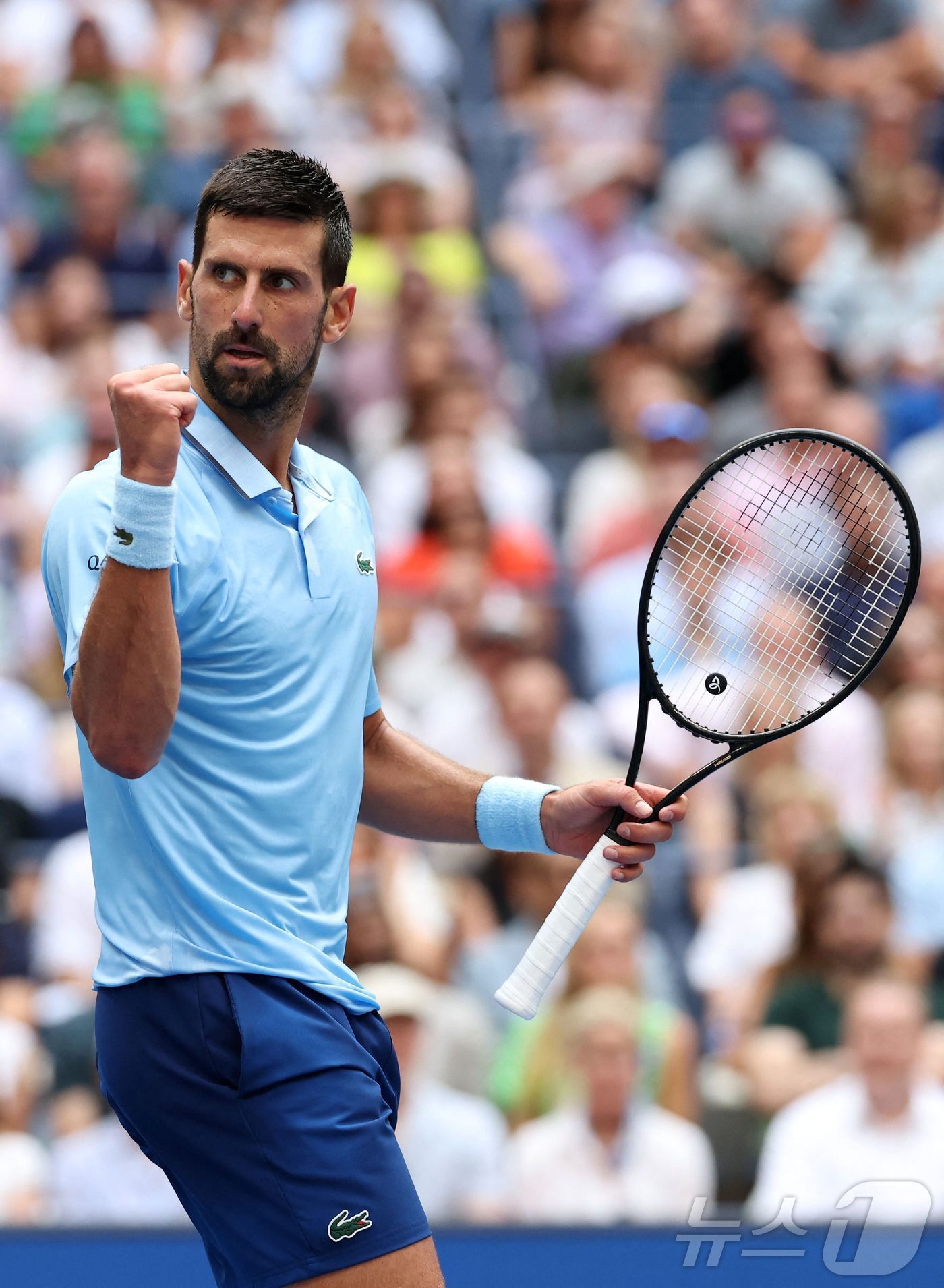 본문 이미지 - 노박 조코비치. ⓒ AFP=뉴스1
