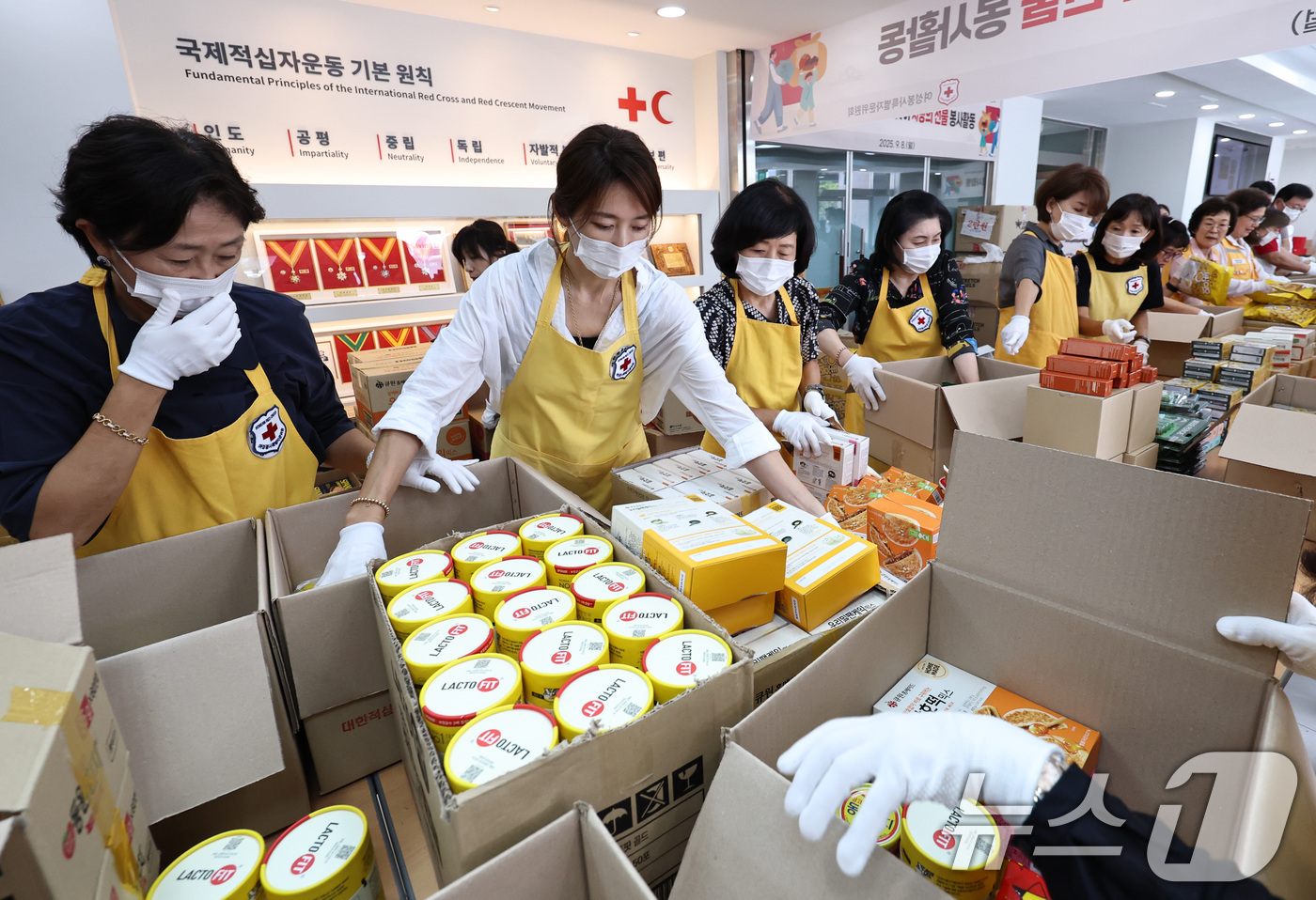 (서울=뉴스1) 구윤성 기자 = 8일 오후 서울 성동구 대한적십자사 서울지사에서 봉사자들이 다가오는 추석을 맞아 취약계층 아동·청소년에 전달할 사랑의 선물을 포장하고 있다. 202 …