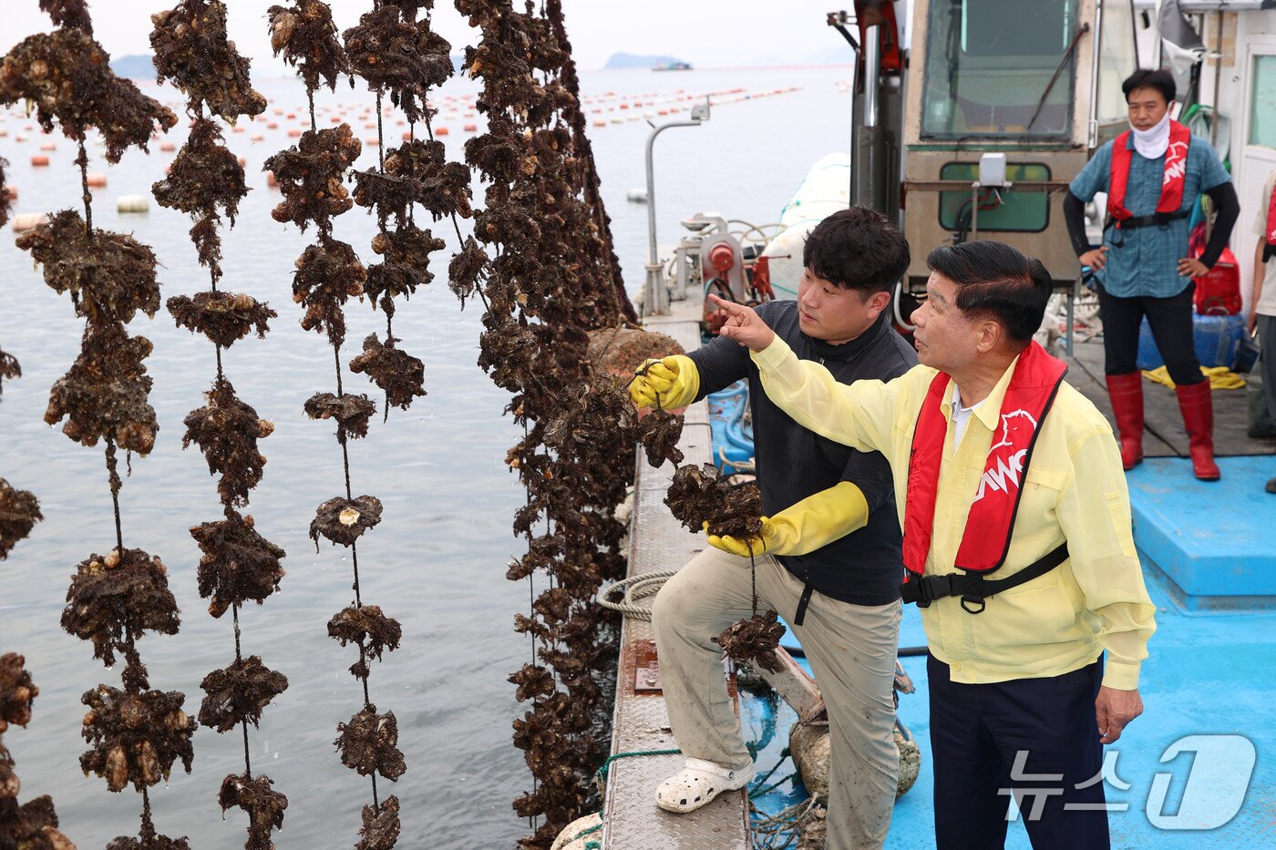 본문 이미지 - 이상근 고성군수가 산소부족 물덩어리로 인한 폐사 피해를 입은 양식장에서 피해 상황을 점검하고 있다.&#40;고성군 제공. 재판매 및 DB금지&#41;