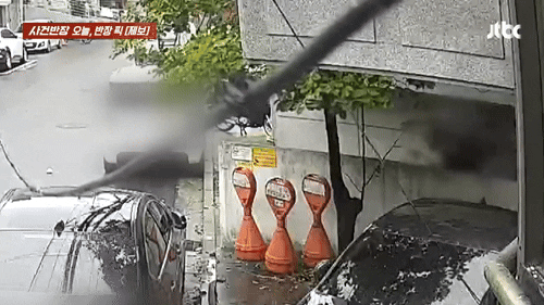 본문 이미지 - (JTBC '사건반장' 갈무리)