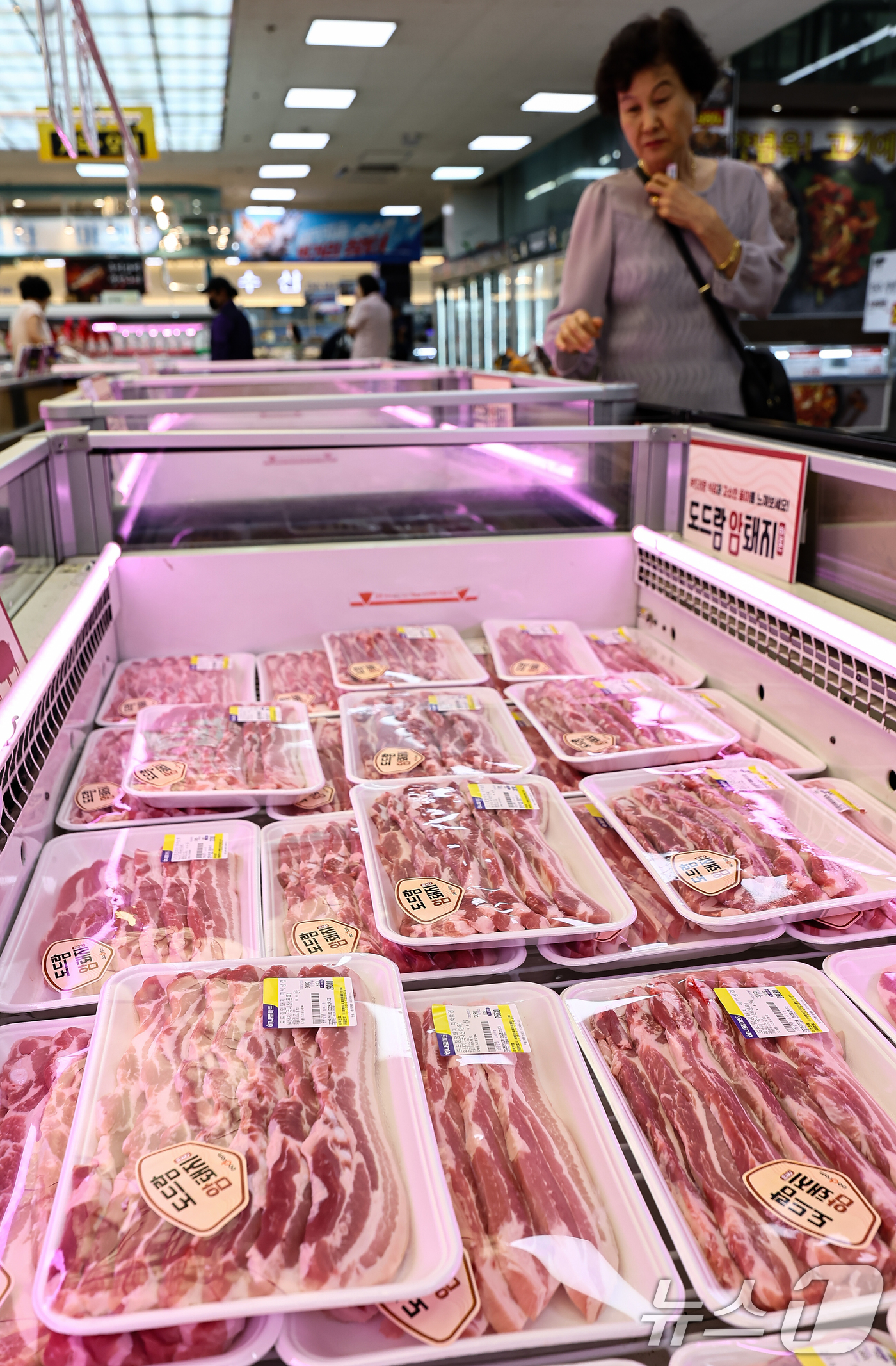 (서울=뉴스1) 김도우 기자 = 먹거리 물가가 연일 고공행진을 이어가고 있다.8일 축산물품질평가원 축산물유통정보에 따르면 전날 기준 계란 한 판(30개·일반란)의 소비자 가격은 전 …