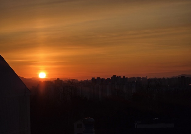 남산 옆에 뜬 병오년 새해 첫해