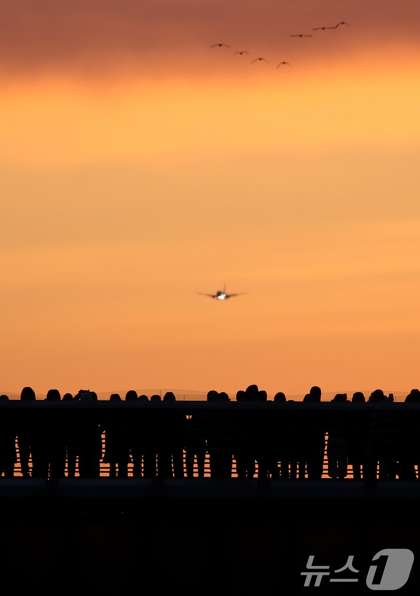 (대구=뉴스1) 공정식 기자 = 2026년 새해 첫날인 1일 오전 대구 동구 금호강 아양기찻길에서 새해 첫 일출을 기다리는 시민 위로 비행기가 날아가고 있다. 2026.1.1/뉴스 …