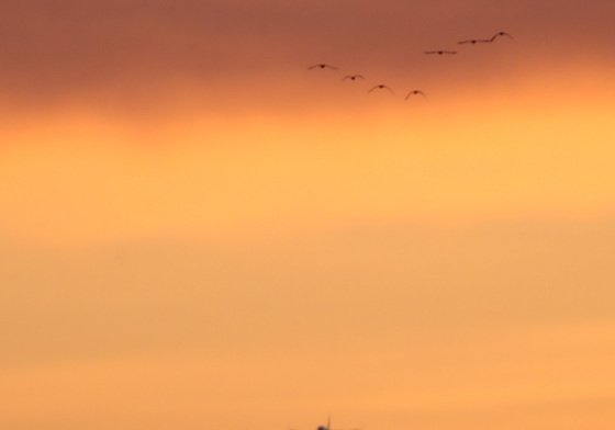 새해 대구경북통합신공항 염원