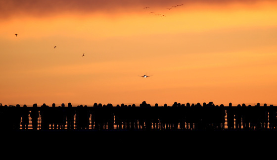 새해 대구경북통합신공항 염원