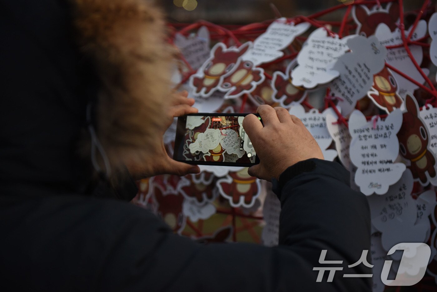 본문 이미지 - 1일 순천시 오천그린광장에 새해 첫 일출을 보러 나온 시민이 걸어놓은 소원지를 촬영하고 있다. 2026.1.1/뉴스1 ⓒ News1 김성준 기자