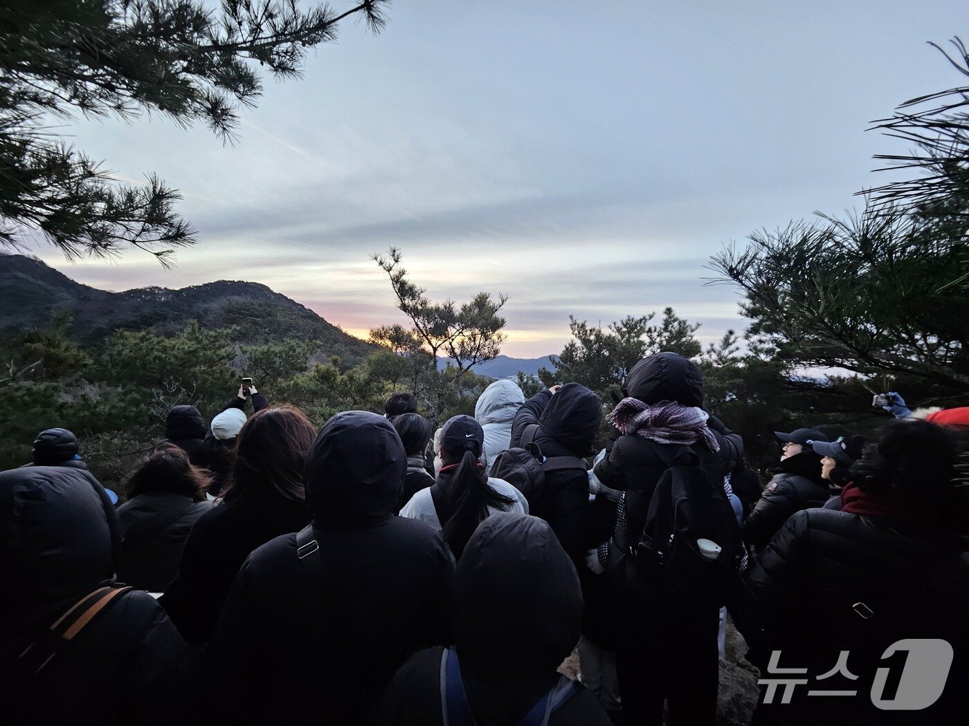 본문 이미지 - 1일 광주 서구 금당산에 모인 시민들이 새해 첫 일출을 바라보고 있다. 2026.1.1/뉴스1 ⓒ News1 이수민 기자