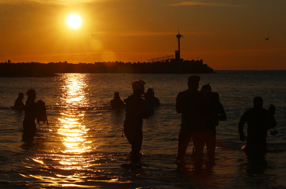 차가운 바닷속에서 맞이하는 병오년 첫 해