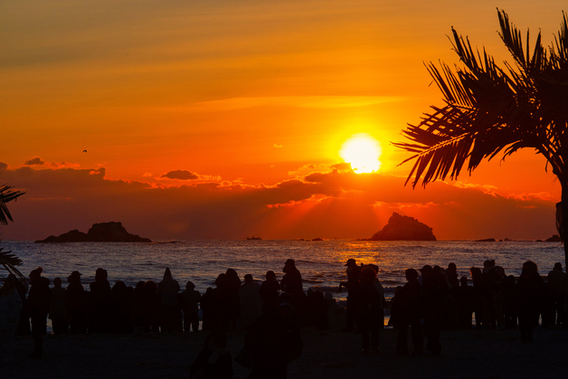 \"적토마처럼\" 동해안 최북단 고성 첫해
