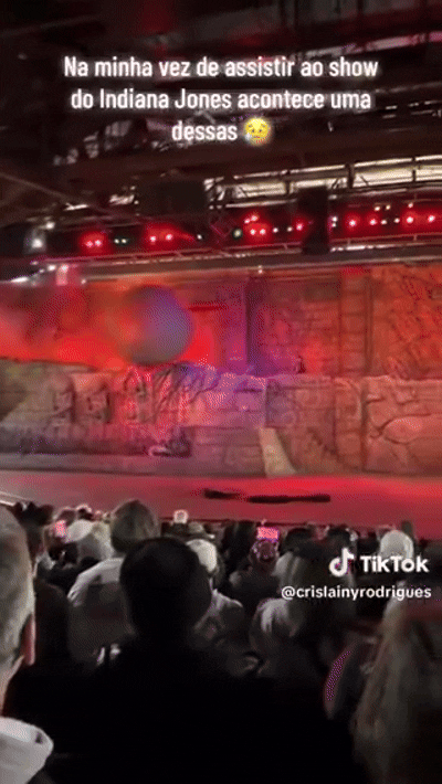 '180kg' 고무공 소품, 관객석 돌진에…몸 던진 디즈니 직원[영상]