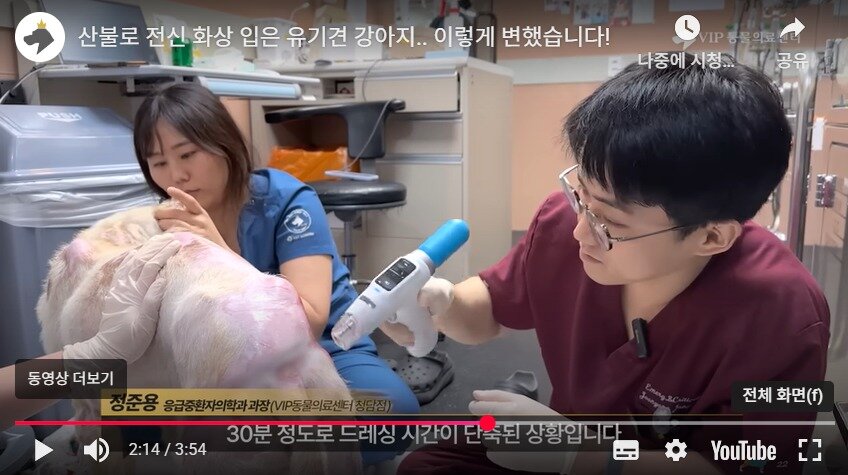 본문 이미지 - VIP동물의료센터 유튜브 채널 갈무리 ⓒ 뉴스1