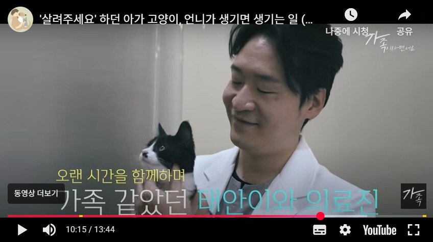 본문 이미지 - 가족이라면서요 유튜브 영상 갈무리 ⓒ 뉴스1
