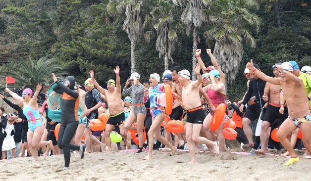 서귀포 겨울바다 국제펭귄수영대회